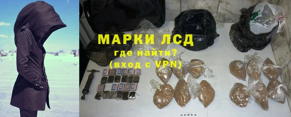 гашик Алексин