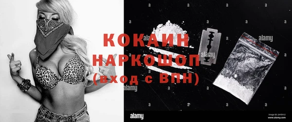 гашик Алексин