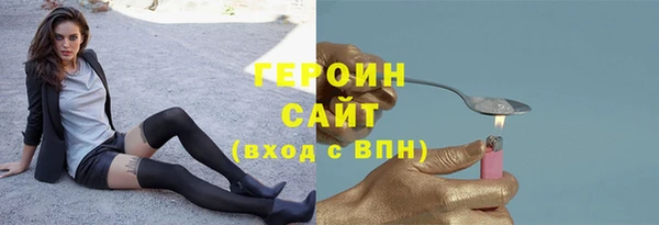 гашик Алексин