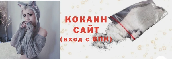гашик Алексин