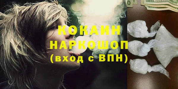 гашик Алексин