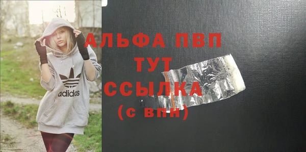 гашик Алексин